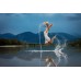 Elinchrom Ranger ELB 400 HI-SYNC (HS) Head Only EL20153